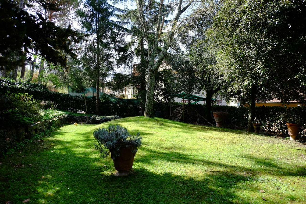 Villa Il Sorriso 毕威格利亚努 外观 照片