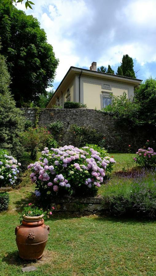 Villa Il Sorriso 毕威格利亚努 外观 照片